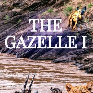 The Gazelle I: A secret Chinese "Jurrasic park"-style genetic experiment unleashes true hell on earth (book 1 of the "Gazelle" series)